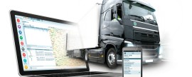 MD1CE868_S134805B1304_Stok - MD1CE868_S134805B1304_Stok
